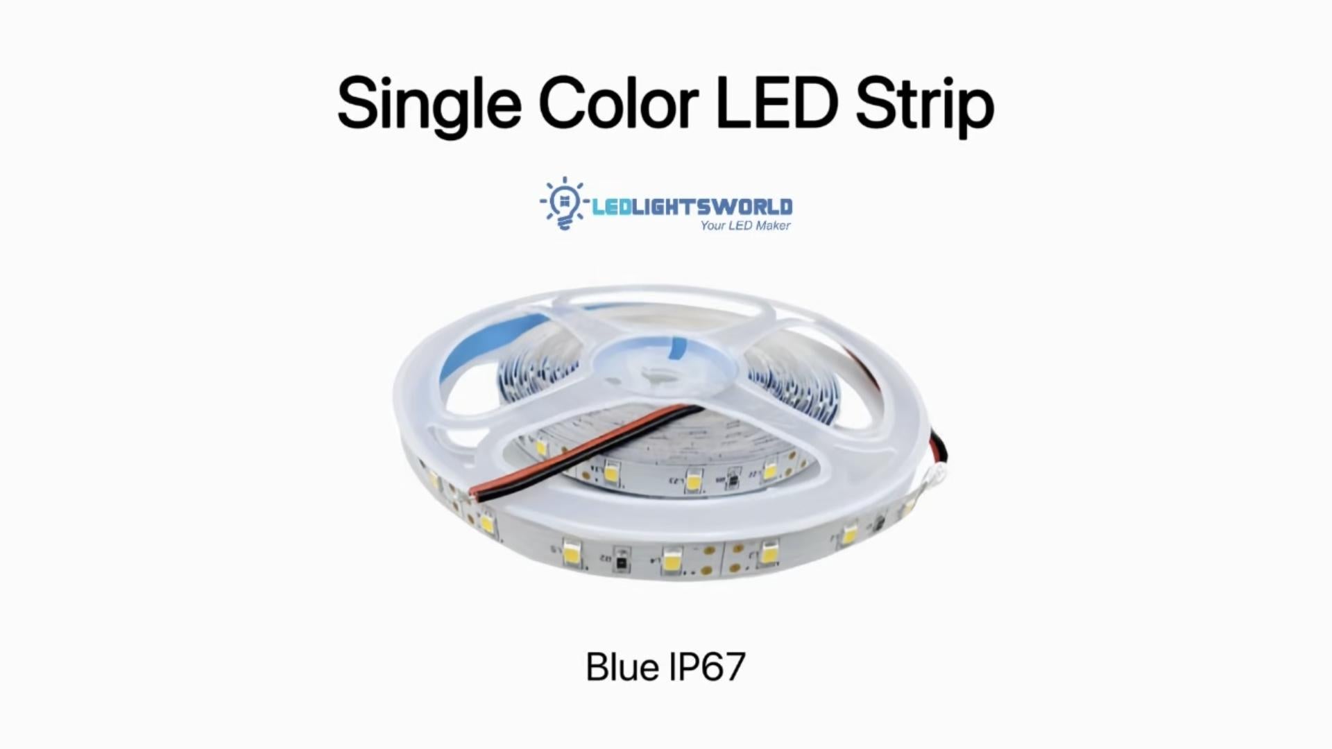 DC12V SMD2835 Blue LED Strip Light IP67 High Brightness Demo | LEDLightsWorld
