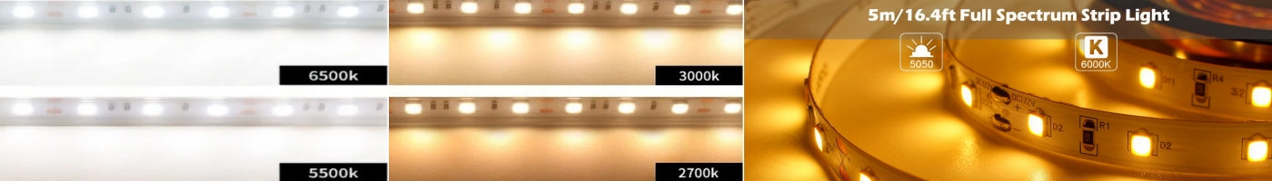 Full Spectrum LED Strips