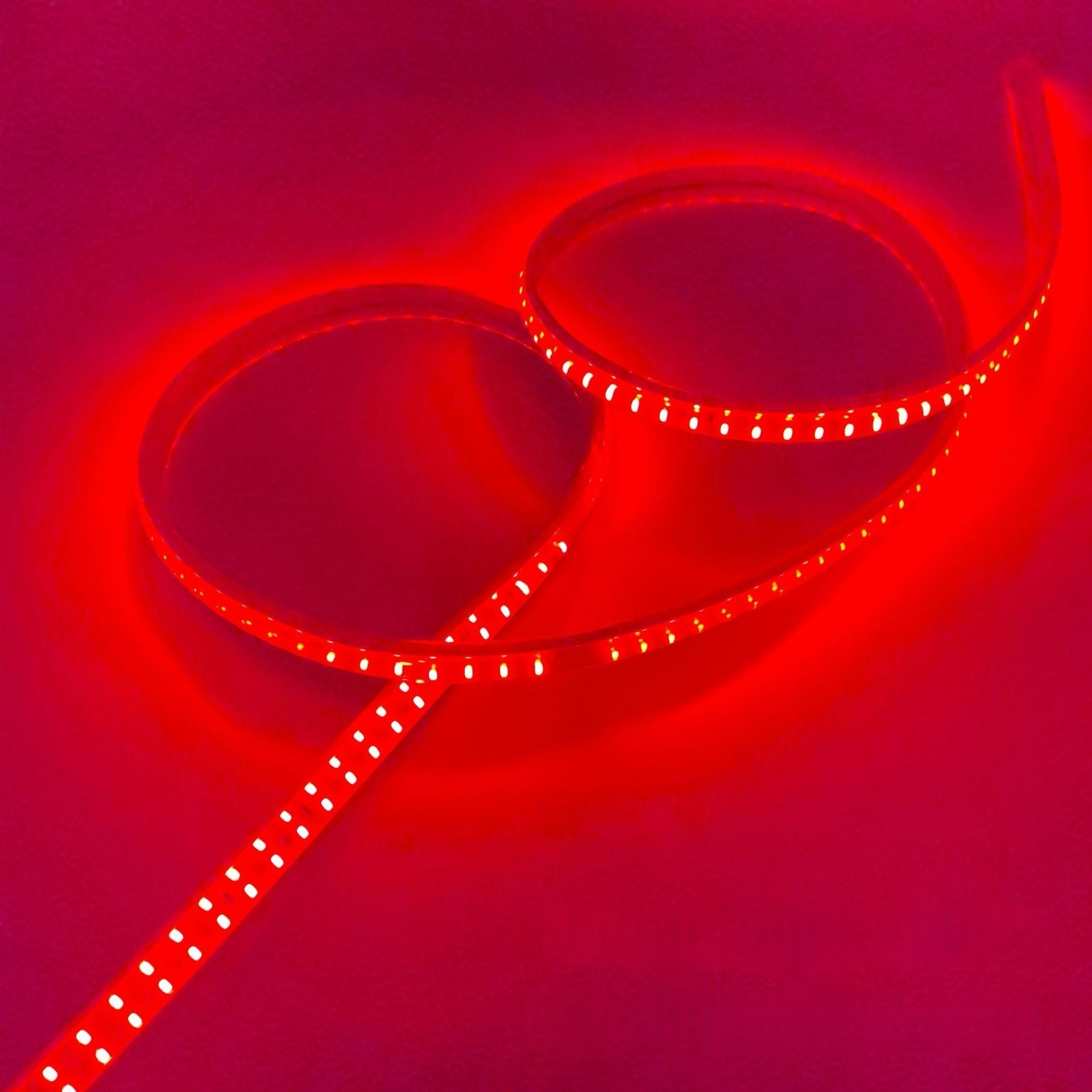 AC 110V / 220V SMD2835 Dual Row High Voltage LED Neon Strip Light – 9W/M, 180 LEDs/M, 18×8mm Arched Diffuser, IP67 Waterproof Flexible Rope Light with Plug, 3000K / 4000K / 6000K / Red / Green / Blue / Pink / Yellow for Indoor & Outdoor Decoration