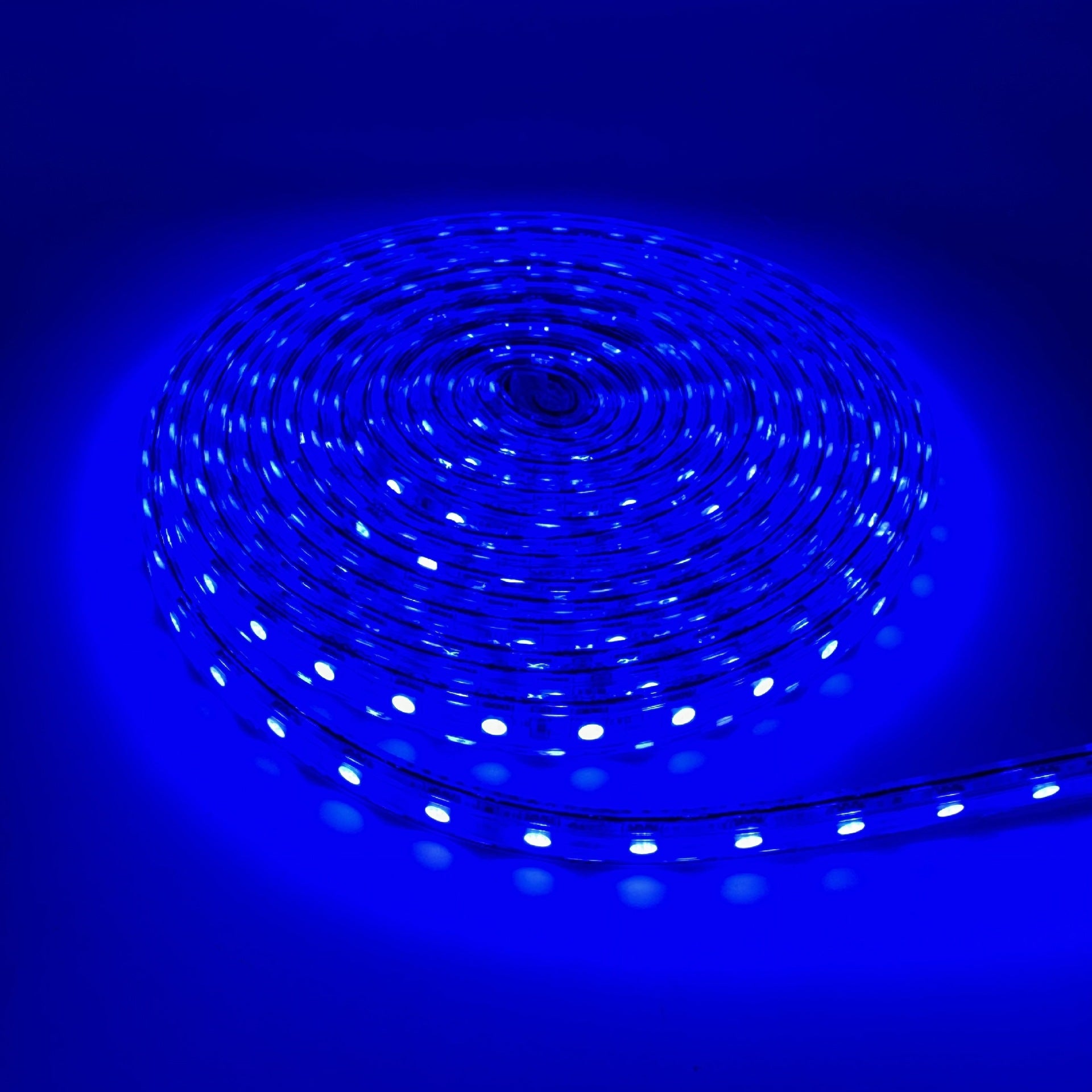 AC 110V / 220V SMD5050 High Voltage LED Neon Strip Light – 60 LEDs/M, Waterproof Flexible Flat Rope Light with Power Plug, 3000K / 4000K / 6000K / Red / Green / Blue / Pink for Indoor & Outdoor Decoration