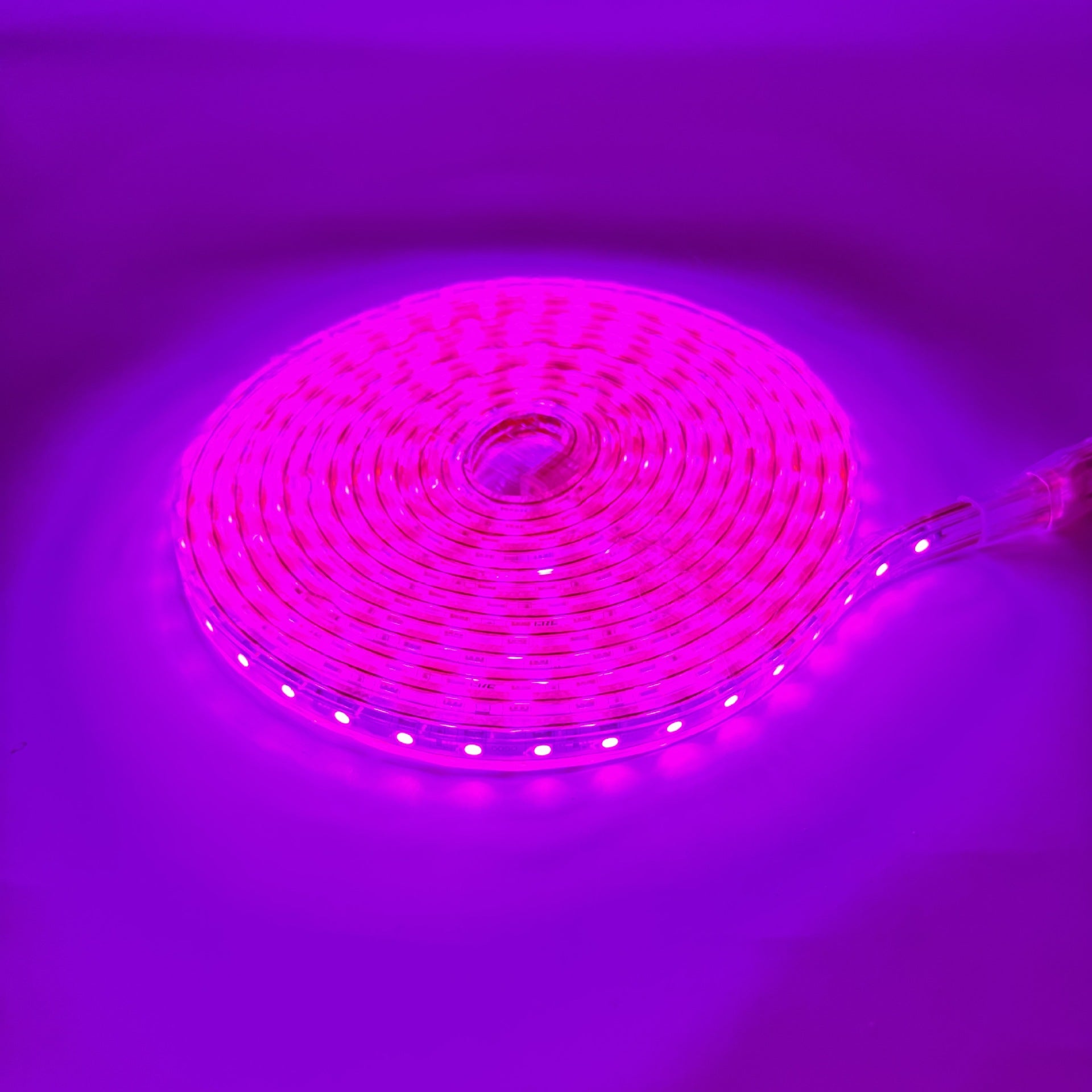 AC 110V / 220V SMD5050 High Voltage LED Neon Strip Light – 60 LEDs/M, Waterproof Flexible Flat Rope Light with Power Plug, 3000K / 4000K / 6000K / Red / Green / Blue / Pink for Indoor & Outdoor Decoration