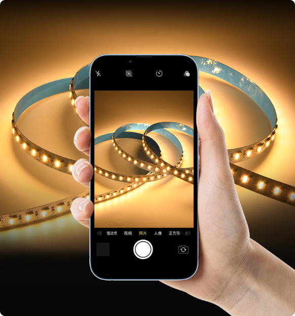 12MM Wide RGBCCT LED Strip Light - DC12V / 24V | 5-In-1 SMD5050-60 LEDs/M | IP00 / IP65 / IP67 | for Mirror, Kitchen Cabinet, Bedroom | 5/50M