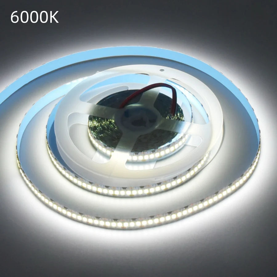 DC12V SMD2835 Single Color LED Strip Light – 240 LEDs/m | 10mm PCB | High Brightness Low Voltage LED Tape | IP00 / IP67 | for Mirror, Kitchen Cabinet, Bedroom | 5/50M