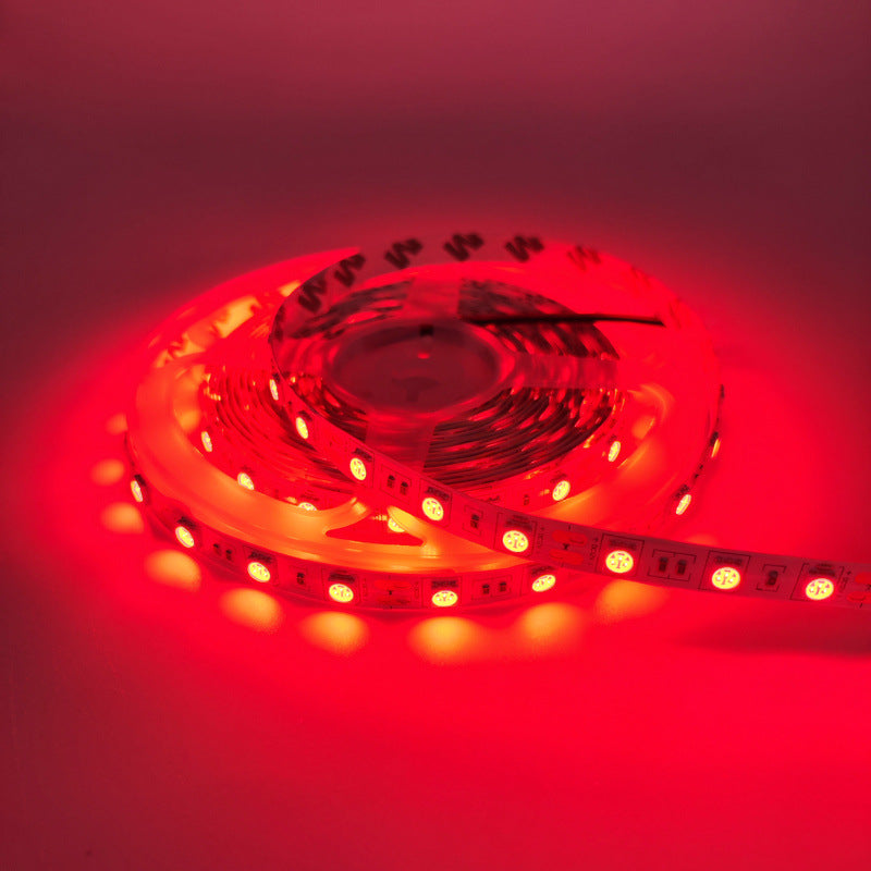 SMD5050 Red/Green/Blue/Yellow/Pink/Icy Blue LED Strip Light | Standard Brightness | 12V DC | 12W/m | 60 LEDs/m | 5m Roll | IP00 / IP65/IP67 Options