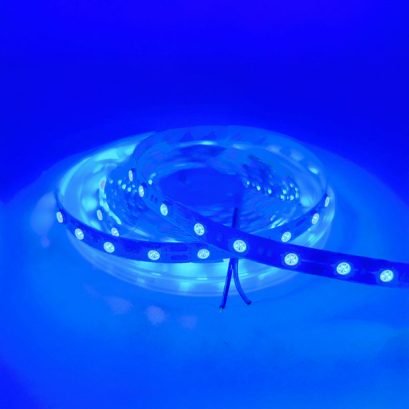 SMD5050 Red/Green/Blue/Yellow/Pink/Icy Blue LED Strip Light | Standard Brightness | 12V DC | 12W/m | 60 LEDs/m | 5m Roll | IP00 / IP65/IP67 Options