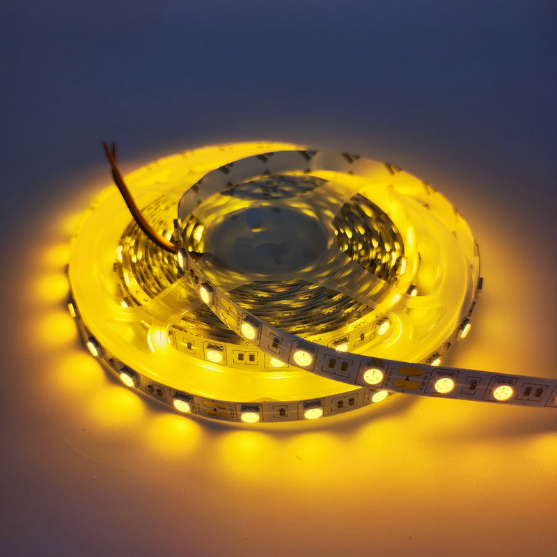 SMD5050 Red/Green/Blue/Yellow/Pink/Icy Blue LED Strip Light | Standard Brightness | 12V DC | 12W/m | 60 LEDs/m | 5m Roll | IP00 / IP65/IP67 Options