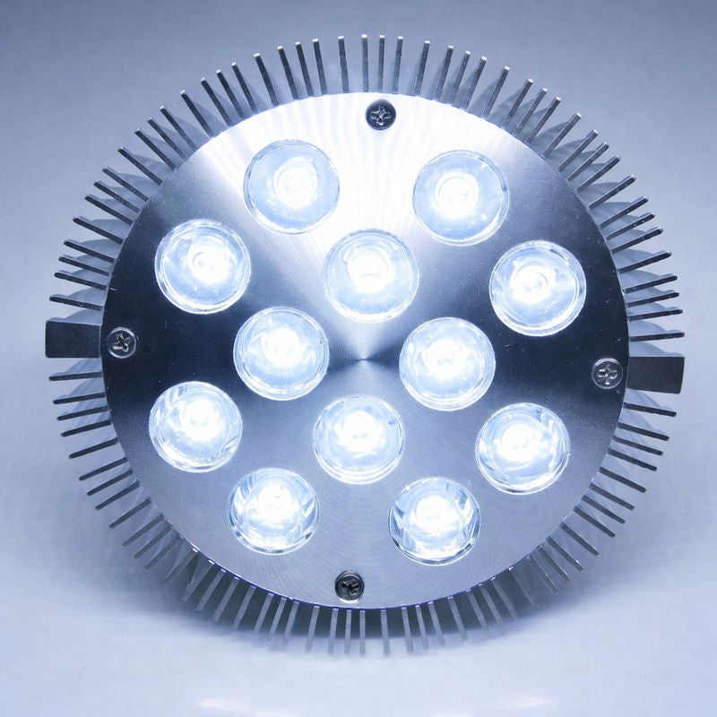 12W (12x1W) PAR38 LED Lamp with E27 Edison Screw Base 90W Equivalent 100-240V AC Silver Housing Indoor Type