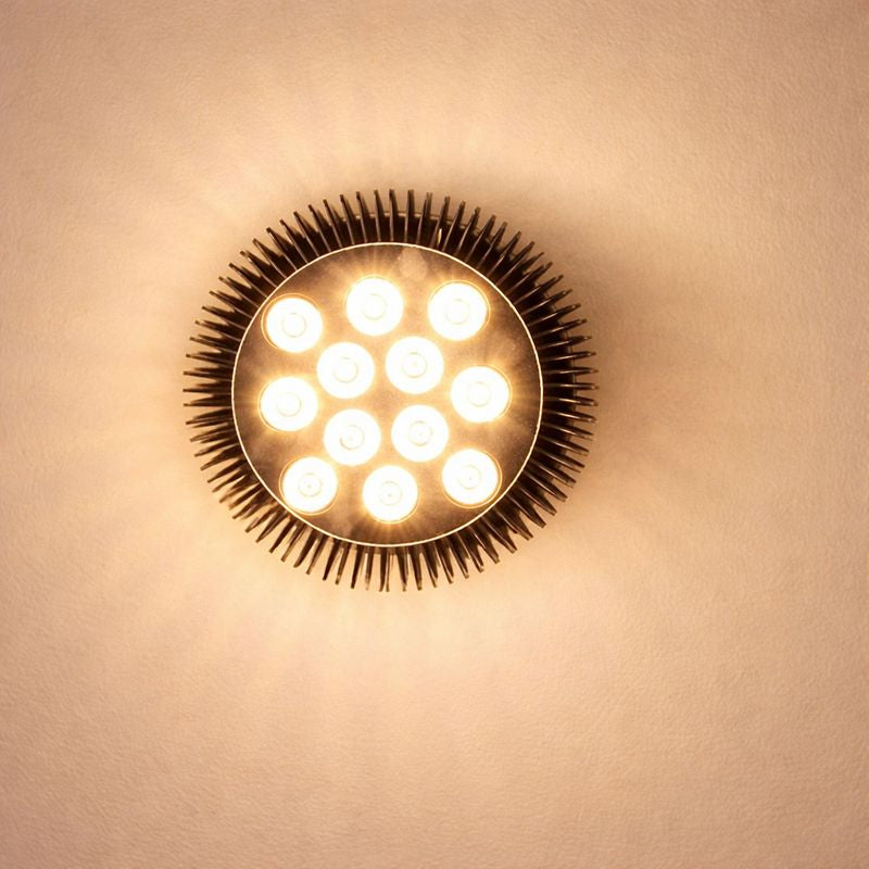 12W (12x1W) PAR38 LED Lamp with E27 Edison Screw Base 90W Equivalent 100-240V AC Black Housing Indoor Type