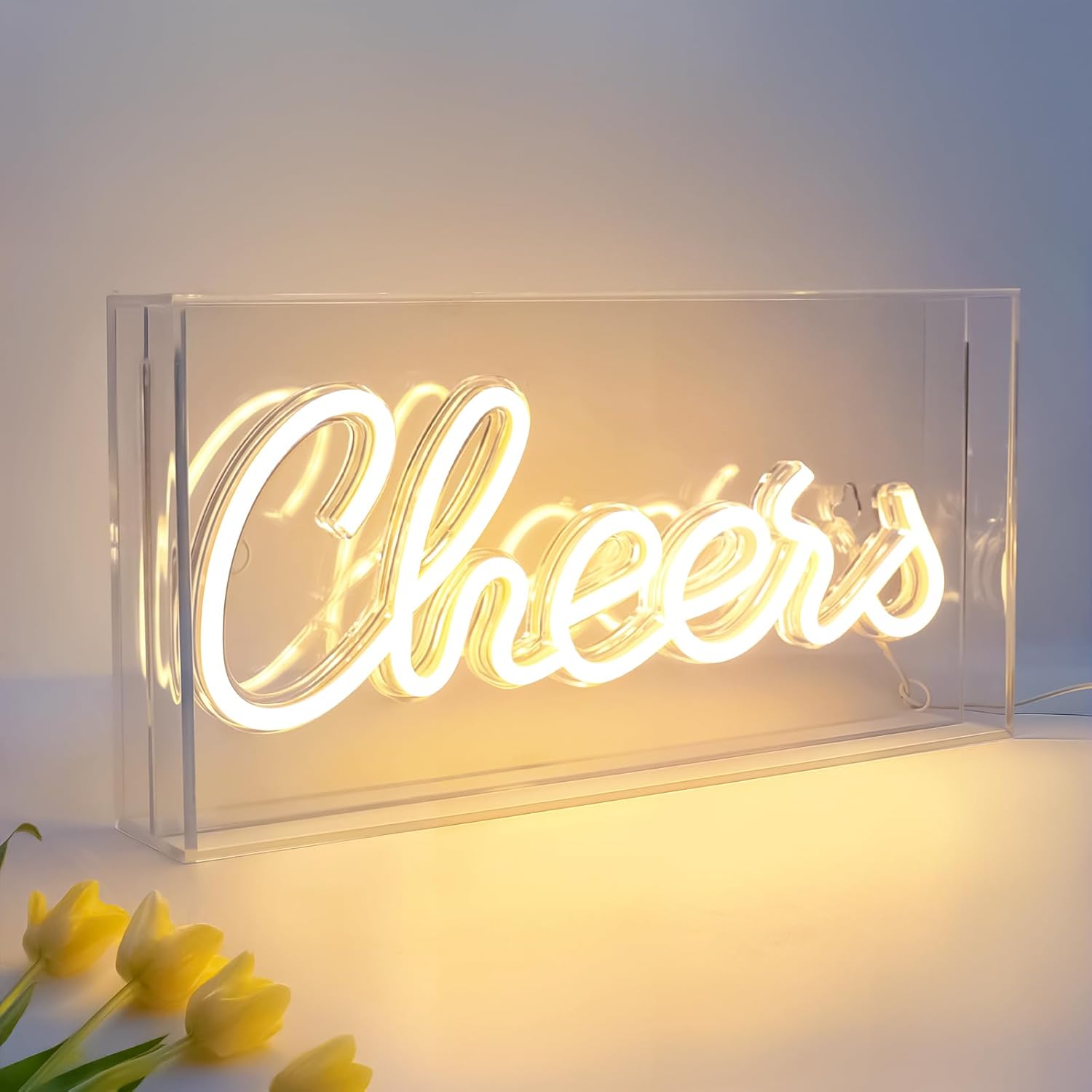CHERRS Desk Lightbox Sign – Rectangular 12x6 inch | Warm White/ Pink | USB Powered | Tabletop Display | For Girls' Room, Bedroom, Pub, Hotel, Beach, Cocktail Bar, Christmas Gift