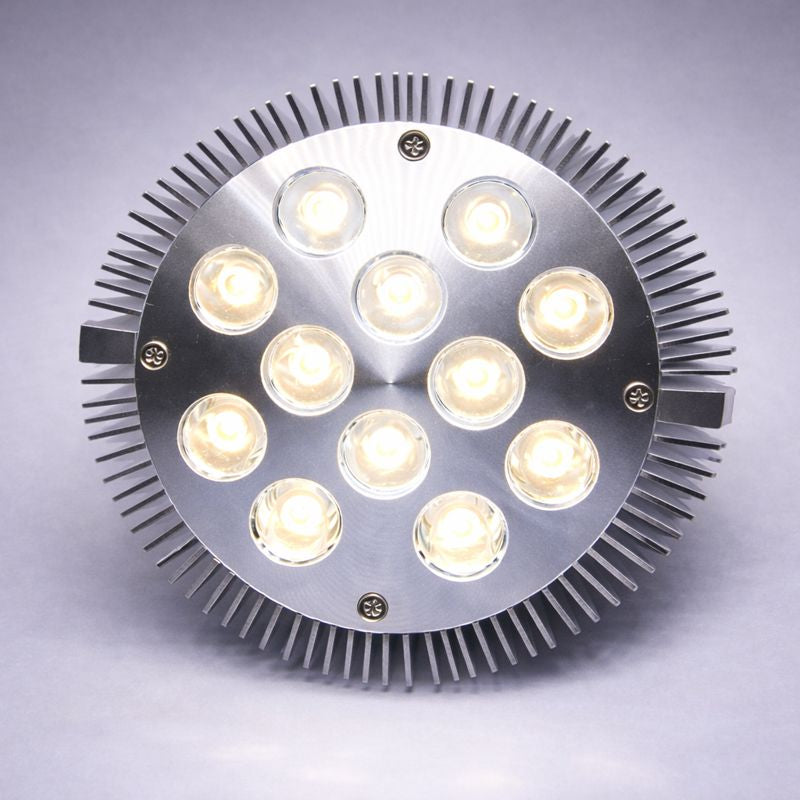 12W (12x1W) PAR38 LED Lamp with E27 Edison Screw Base 90W Equivalent 100-240V AC Silver Housing Indoor Type
