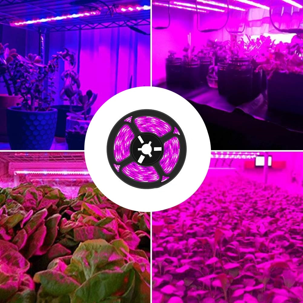 Plant Growth RED:BLUE /660nm:460nm LED Grow Light SMD5050 120LEDs 12V 28.8W Per Meter 15mm Width Strip