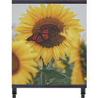 EP-T Series Transparent LED Poster Display | 2×2m | P3.91mm | Large Holographic LED Film Screen for Retail Window Display