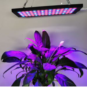 Black Oblong 40W AC85~265V LED Grow Light for Indoor Plant, Full Spectrum Panel Grow Light with IR UV, Indoor Plant Growing Lamp for Succulents, Veg and Flowering/Greenhouse Hydroponic
