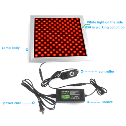 LED-Rotlichttherapie-Panel 50 W mit hängender Hardware und Dreieckhalterung. Tiefes 660-nm- und Nahinfrarot-850-nm-LED-Lichtkombination für Hautschönheit, Schmerzlinderung von Muskeln und Gelenken