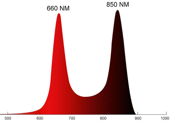 LED-Rotlichttherapie-Panel 50 W mit hängender Hardware und Dreieckhalterung. Tiefes 660-nm- und Nahinfrarot-850-nm-LED-Lichtkombination für Hautschönheit, Schmerzlinderung von Muskeln und Gelenken