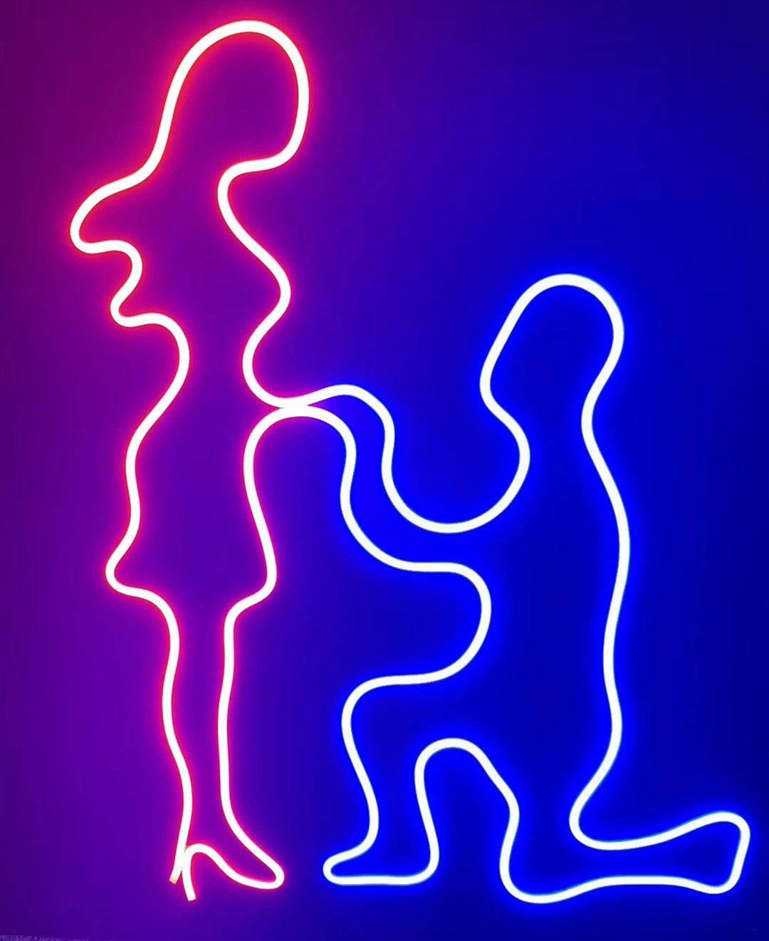 Boîtier pour néon – S22D Noir | Système de canaux LED en silicone de 22 mm | Étanchéité IP67 | Largeur du circuit imprimé : 8 mm | 50 m | Stock local États-Unis, Royaume-Uni et Allemagne