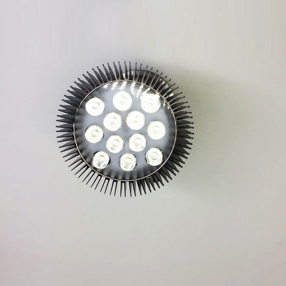 12W (12x1W) PAR38 LED Lamp with E27 Edison Screw Base 90W Equivalent 100-240V AC Black Housing Indoor Type