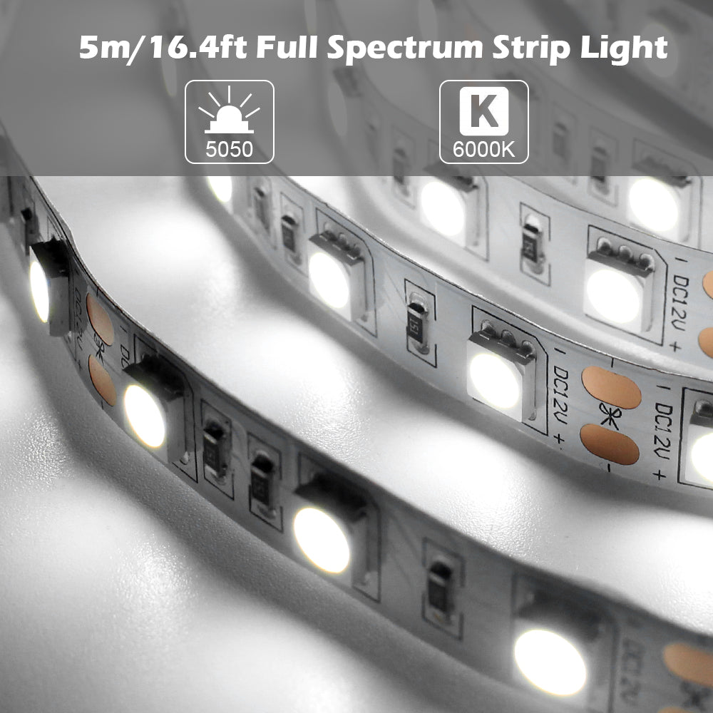 Full Spectrum LED Strip Light | CRI 97+ | SMD5050, 300 LEDs, 60 LEDs/M | 24V DC | 12W/M | 5M (16.4FT) Flexible Tape Light