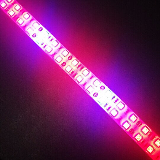 Plant Growth RED:BLUE /660nm:460nm LED Grow Light SMD5050 120LEDs 12V 28.8W Per Meter 15mm Width Strip