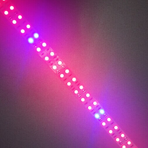 Lampe de croissance LED SMD5050 120 LED 12 V 28,8 W par mètre 15 mm de largeur ROUGE : BLEU / 660 nm : 460 nm