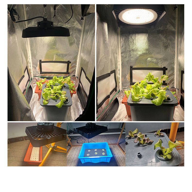 Projecteurs LED haute puissance IP65 à spectre complet pour la culture hydroponique et médicale de plantes