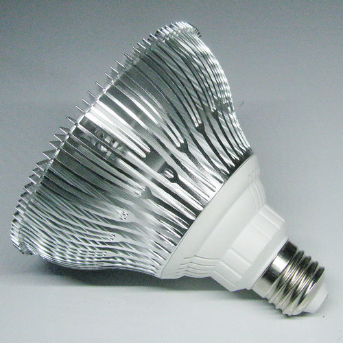 12W (12x1W) PAR38 LED Lamp with E27 Edison Screw Base 90W Equivalent 100-240V AC Silver Housing Indoor Type