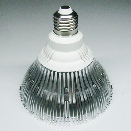 12W (12x1W) PAR38 LED Lamp with E27 Edison Screw Base 90W Equivalent 100-240V AC Silver Housing Indoor Type