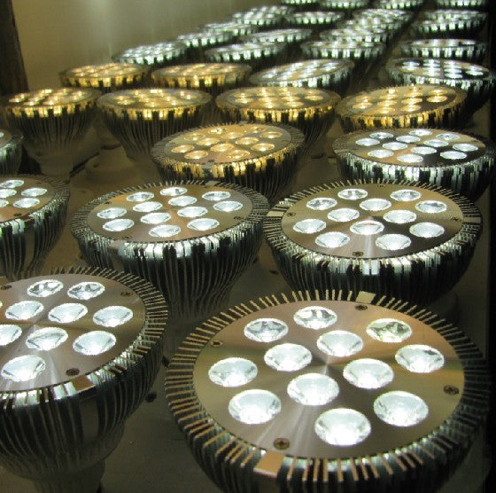 12W (12x1W) PAR38 LED Lamp with E27 Edison Screw Base 90W Equivalent 100-240V AC Silver Housing Indoor Type