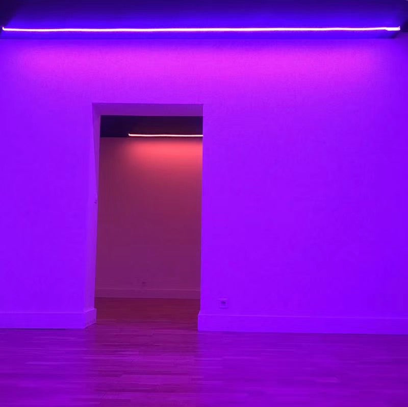 16,4 FT DC12V T1616 Silikon RGB Farbwechsel LED Neon Flexible IP67 Wasserdichte Streifen Lichter für DIY Indoor Outdoor Dekorative Zeichen Buchstaben