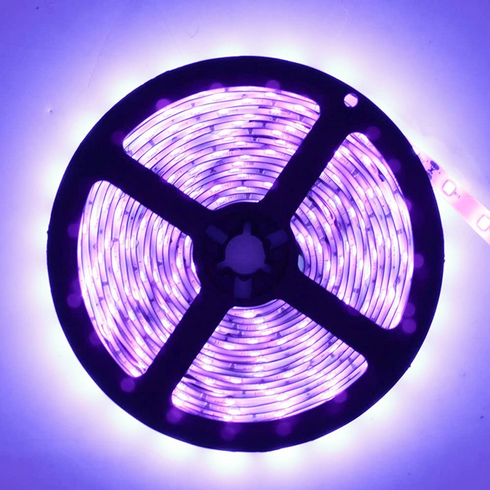 380-385nm SMD5050 UV LED Strip Light – 16.4FT / 5M | 30 / 60 120 LEDs/m | DC12V | Non-Waterproof / IP67 Waterproof | Not Include Power Supply | for Curing, Currency Validation & Medical Field