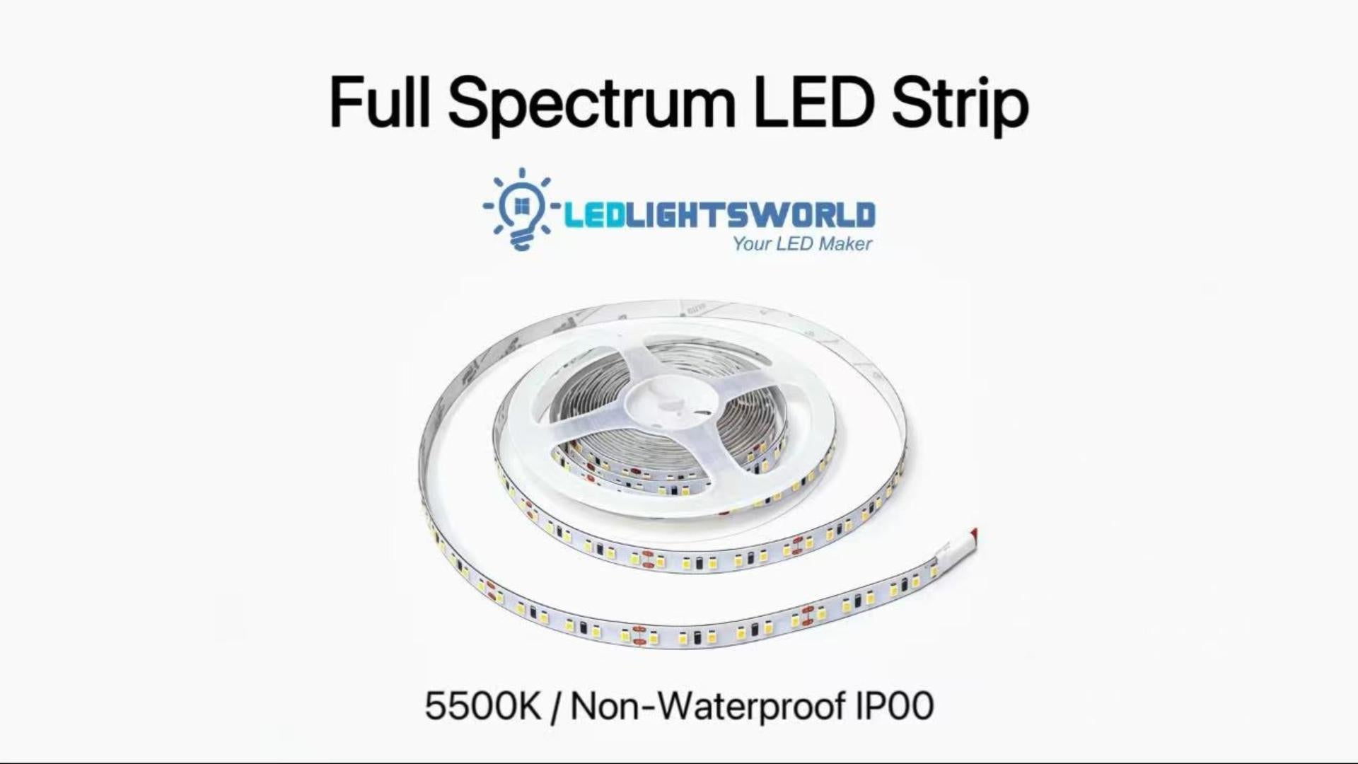 DC24V Full Spectrum LED Strip Light – CRI 97+ SMD2835 Product Demo | LEDLightsWorld