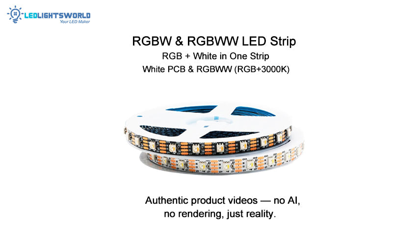 DC12V WS2815 RGBWIC LED Strip Light – Individually Addressable 4-in-1 RGBW LED Strip with Breakpoint Resume | LEDLightsWorld