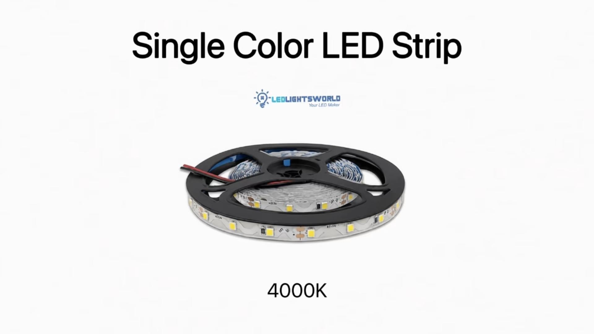 4000K S-Shape SMD2835 LED Strip Light DC12V for Curved Indoor Lighting | LEDLightsWorld