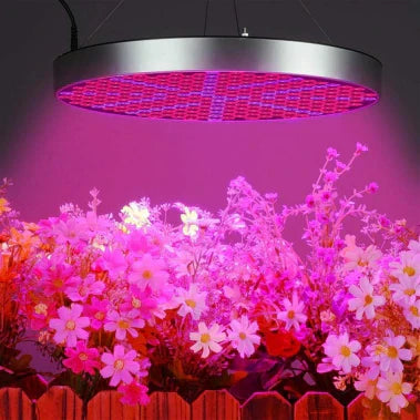 LED Grow Lights: The Critical Relationship Between Wavelength, Spectrum, and Plant Growth