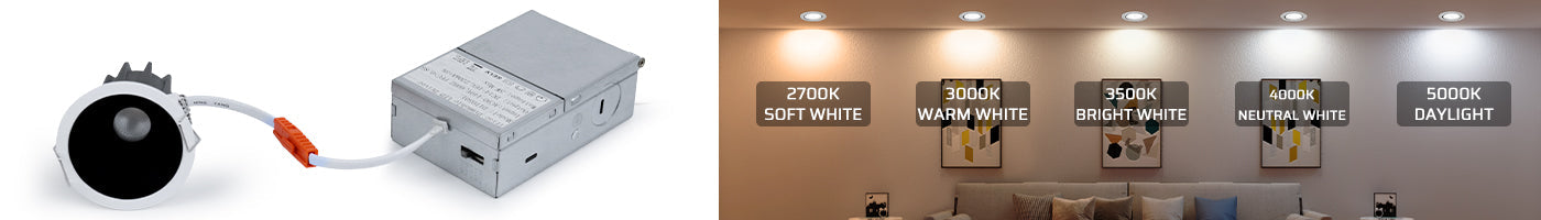 PRO Series LED Downlights