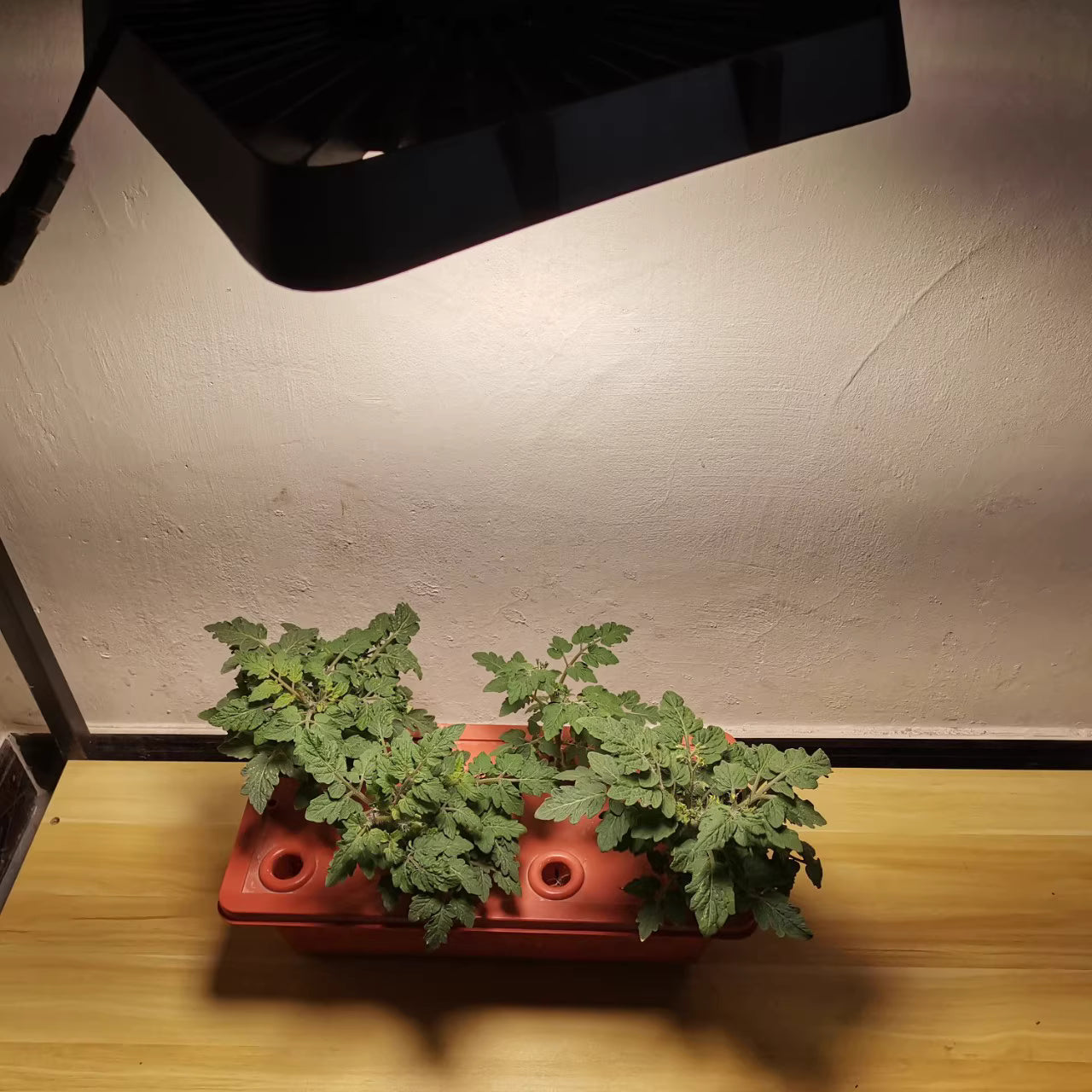 High Power IP65 Full Spectrum LED Grow Flood Lights for Hydroponic and Medical Plant Cultivation