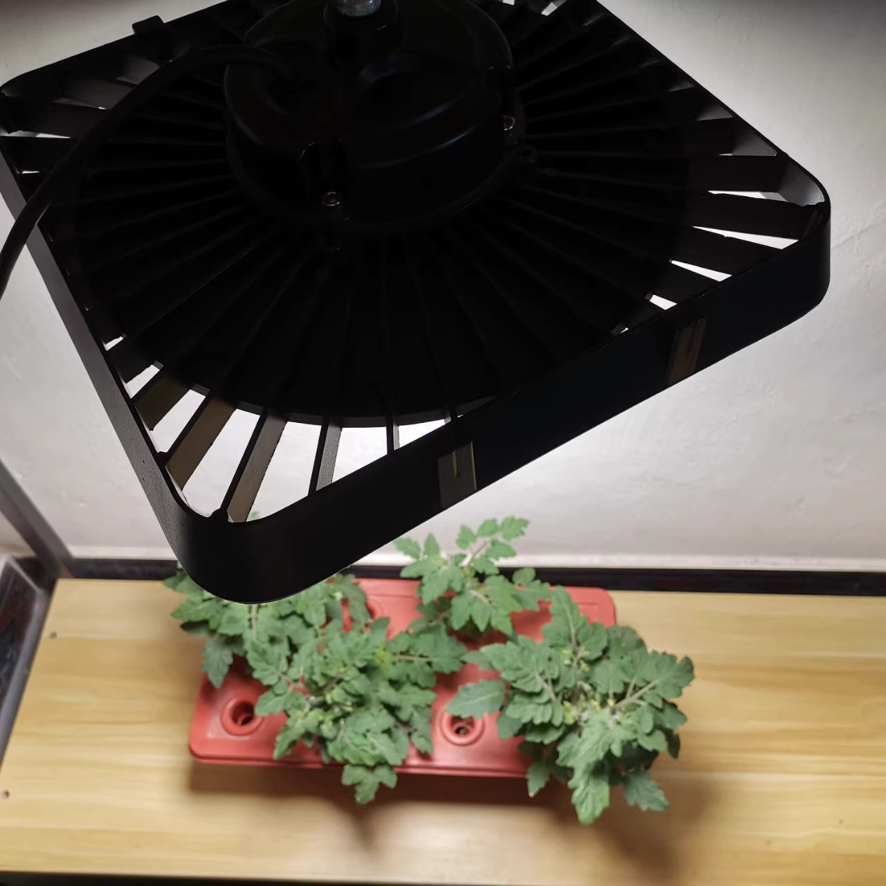 High Power IP65 Full Spectrum LED Grow Flood Lights for Hydroponic and Medical Plant Cultivation