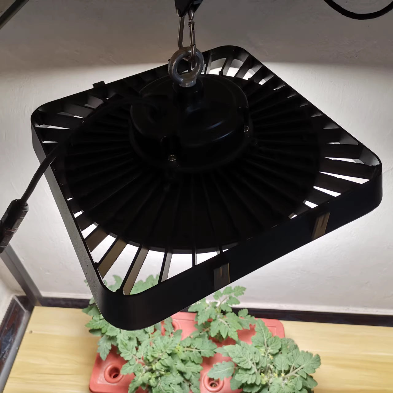 High Power IP65 Full Spectrum LED Grow Flood Lights for Hydroponic and Medical Plant Cultivation