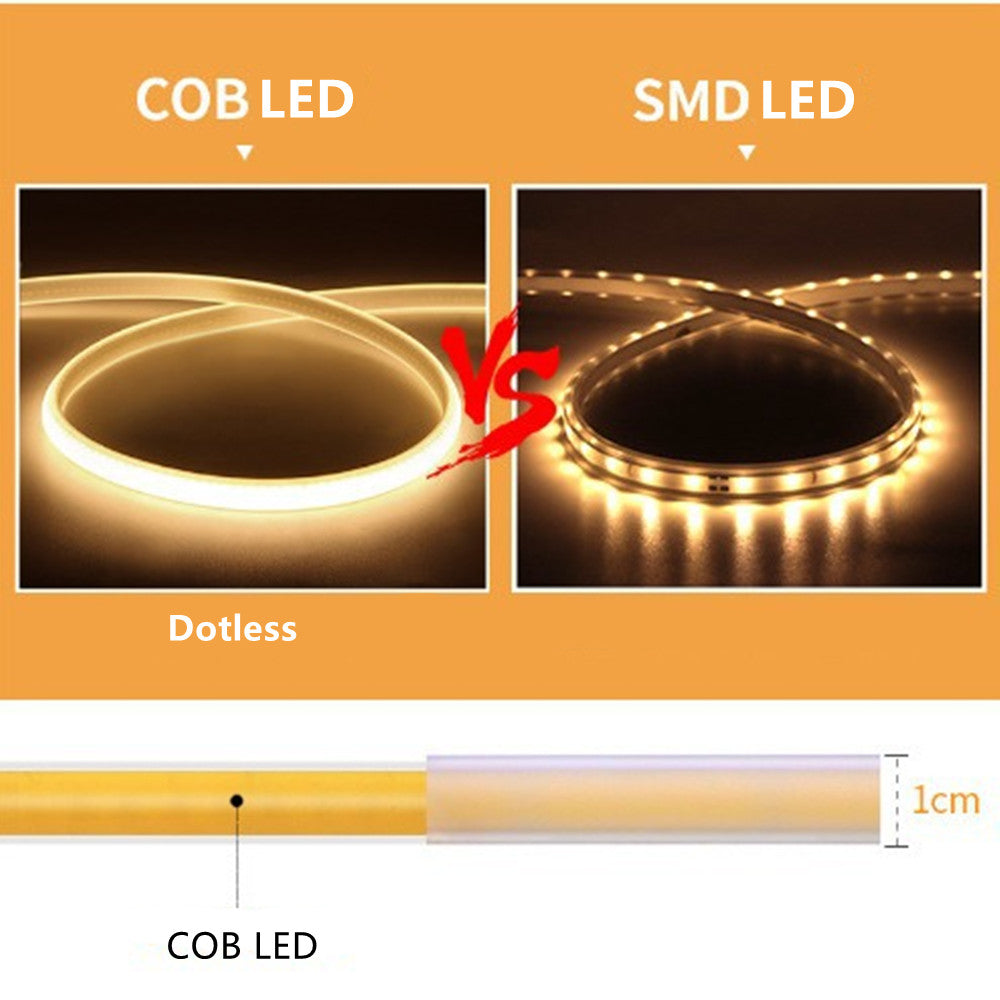 32.8Feet 110V AC / 220V AC Spotless FCOB LED Flexible Strip Light, IP65 Waterproof High Brightness with Inline Switch