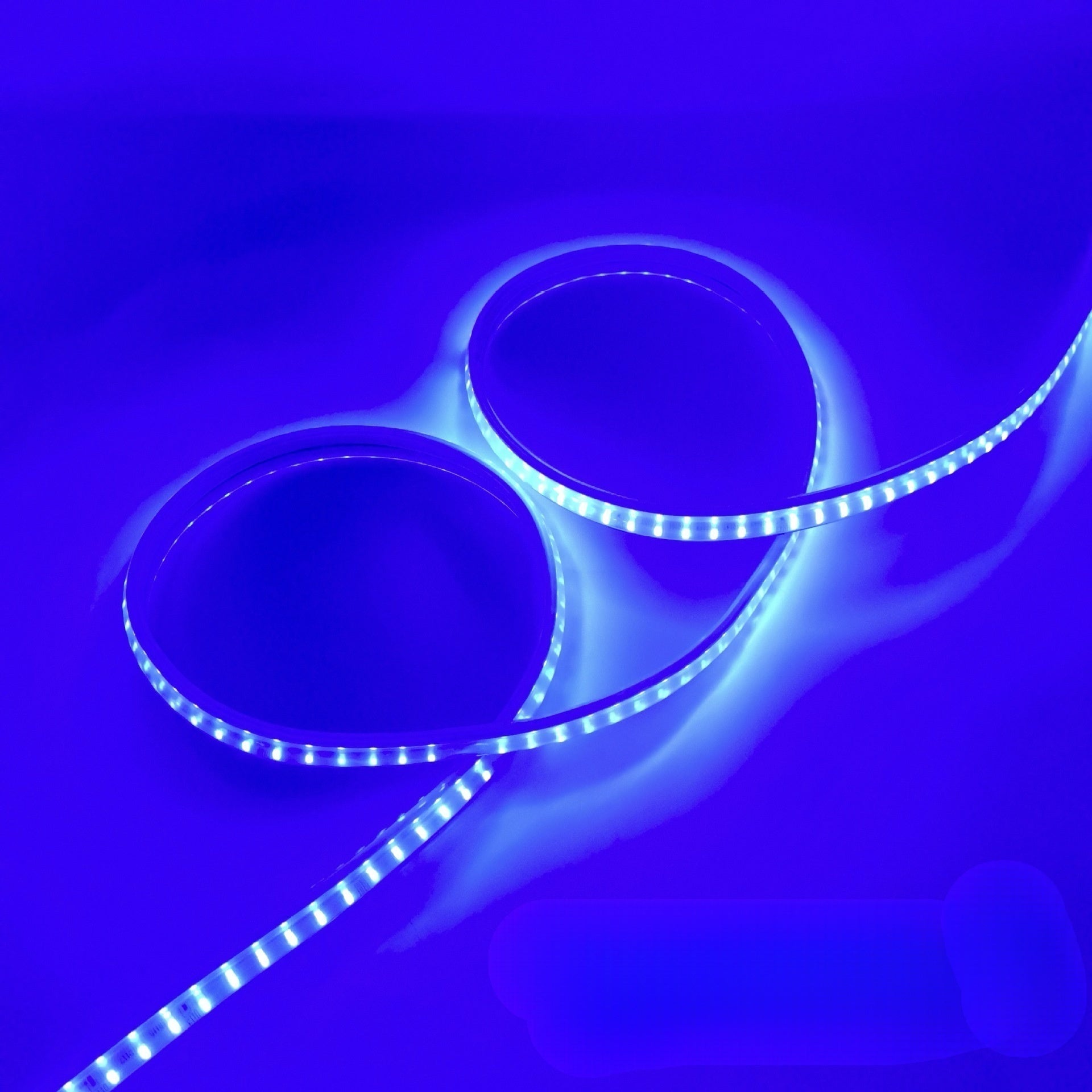 AC 110V / 220V SMD2835 Dual Row High Voltage LED Neon Strip Light – 9W/M, 180 LEDs/M, 18×8mm Arched Diffuser, IP67 Waterproof Flexible Rope Light with Plug, 3000K / 4000K / 6000K / Red / Green / Blue / Pink / Yellow for Indoor & Outdoor Decoration