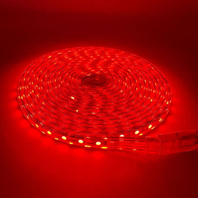 SMD5050 High Voltage LED Neon Strip Light -  SMD5050 60 LEDs/M | 3000K / 4000K / 6000K / Red / Green / Blue / Pink | AC 110V / 220V | Waterproof Flexible Flat Rope Light with Power Plug | Indoor & Outdoor Decoration | 10/50M