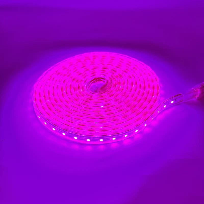SMD5050 High Voltage LED Neon Strip Light -  SMD5050 60 LEDs/M | 3000K / 4000K / 6000K / Red / Green / Blue / Pink | AC 110V / 220V | Waterproof Flexible Flat Rope Light with Power Plug | Indoor & Outdoor Decoration | 10/50M