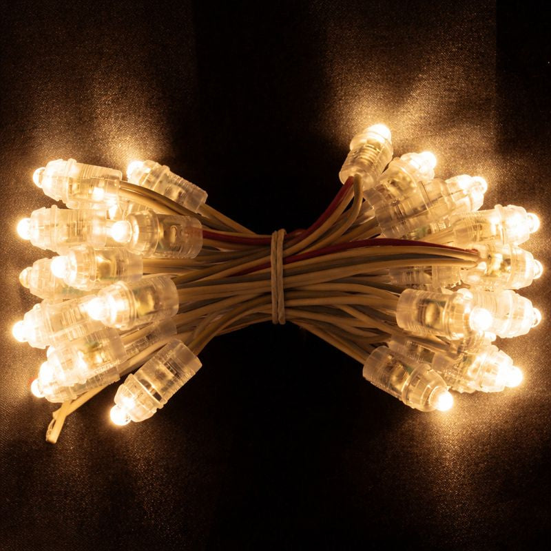 9mm LED Dot Light for Channel Letter Sign, 50pcs/String, 0.2W DC 12V IP67 Waterproof LED Pixel String Light for Punch Letter Signs, Advertising Boards and Light Boxes