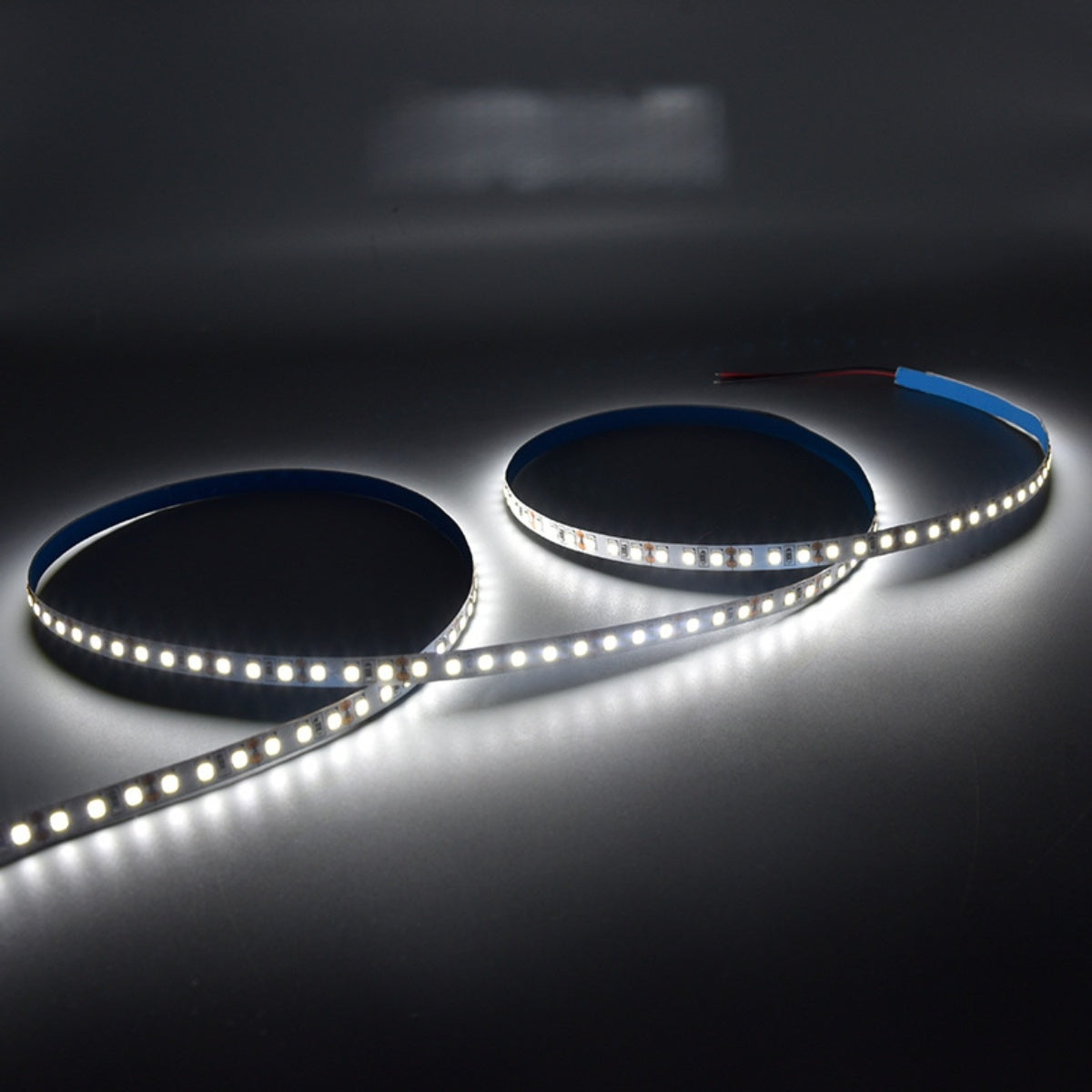 SMD2835 LED Strip Light 6000K / 4000K / 3000K | 120 LEDs/m | 12W/m | 12V / 24V DC | 8mm PCB | 5m Roll | IP00 / IP67