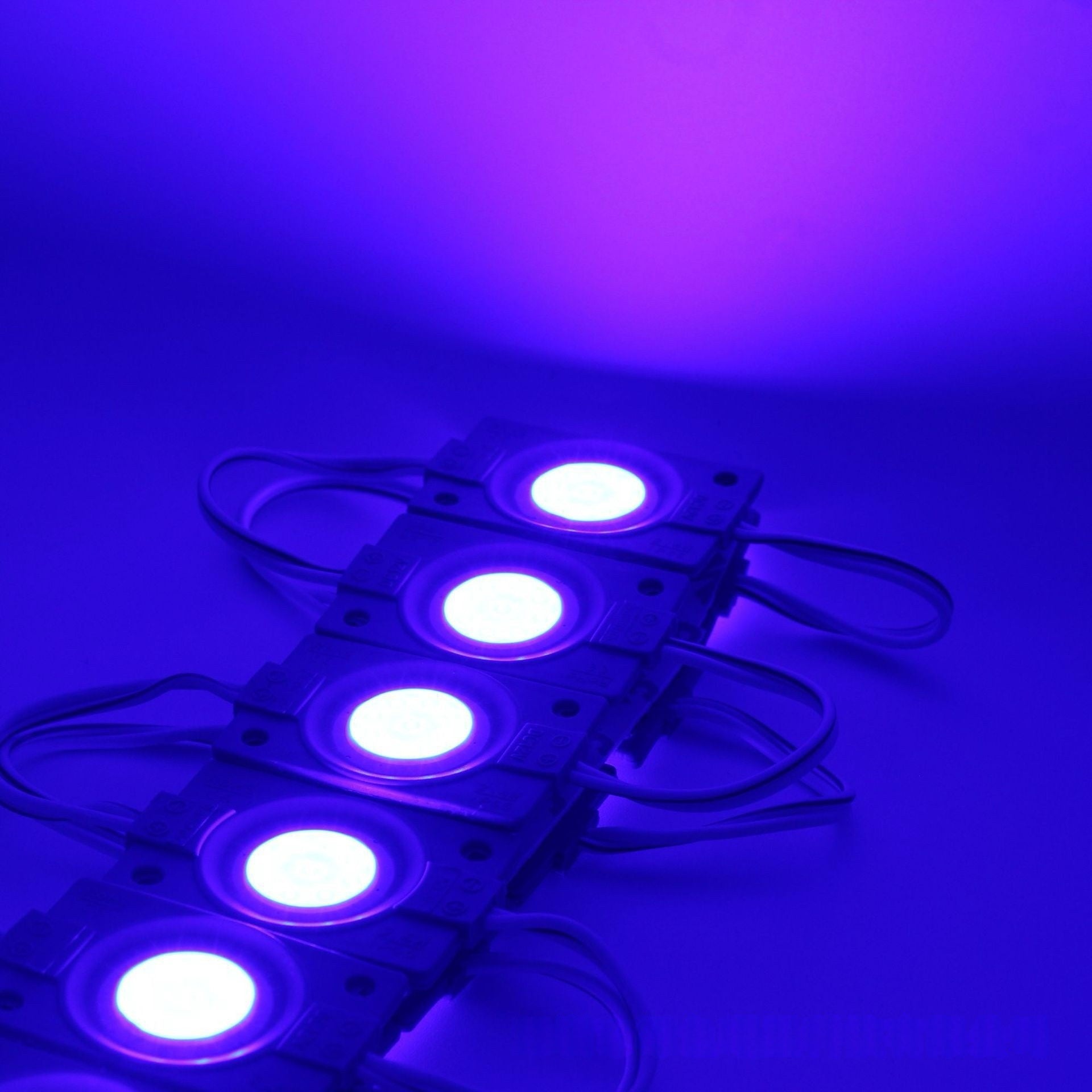COB LED Module String Light, 20pcs/String, 1.5W 150LM, 46×30mm, DC12V IP65 Waterproof Sign Module with Adhesive Tape for Advertising Light Box & Channel Letters