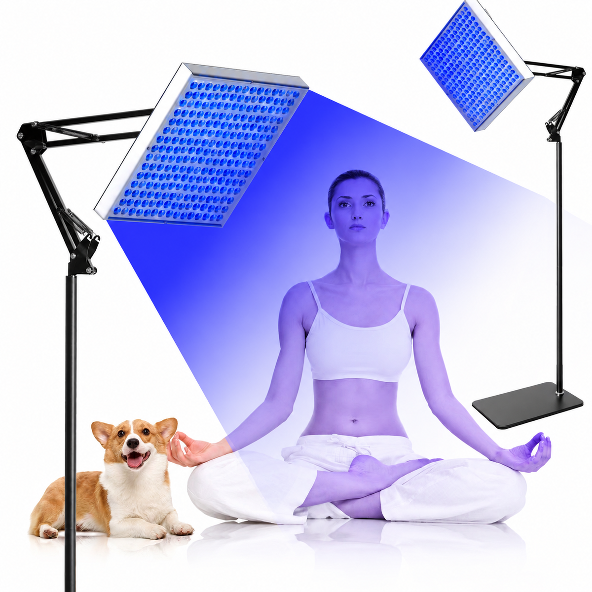 45W Blue Light Tanning Lamp – Blue Light 460–465nm | Dimmable & Timer | AC100–240V | Includes Floor Stand  | for Skin Tanning, Bronze Finish | US / EU Plug