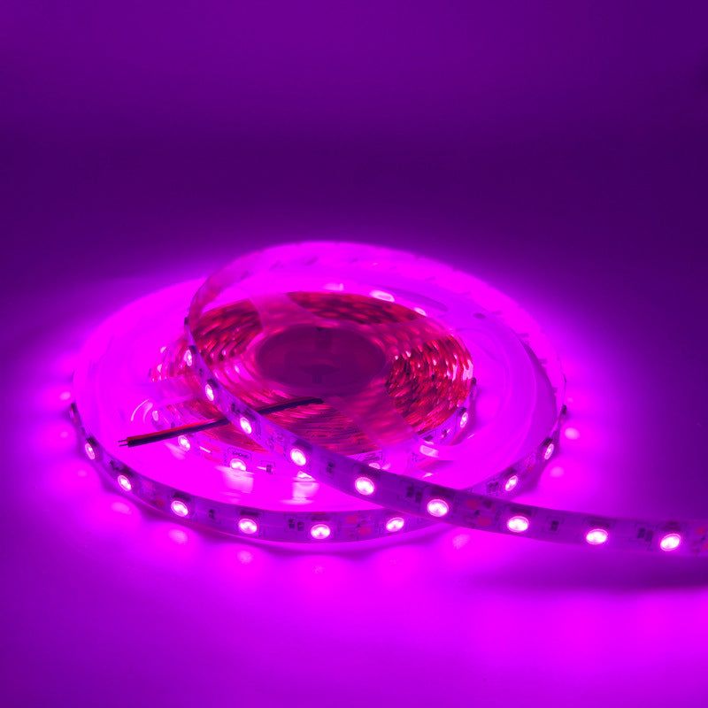 SMD5050 Red/Green/Blue/Yellow/Pink/Icy Blue LED Strip Light | Standard Brightness | 12V DC | 12W/m | 60 LEDs/m | 5m Roll | IP00 / IP65/IP67 Options