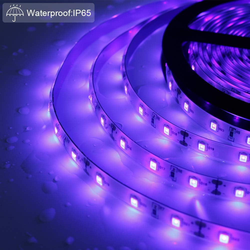 24W / 60W UV Black Light LED Strip – 16.4FT / 5M | SMD2835 | 60 LEDs/m (300 LEDs Total) | 395–405nm | Non-Waterproof / IP65 Waterproof | With Power Supply | For Night Fishing & Black Party