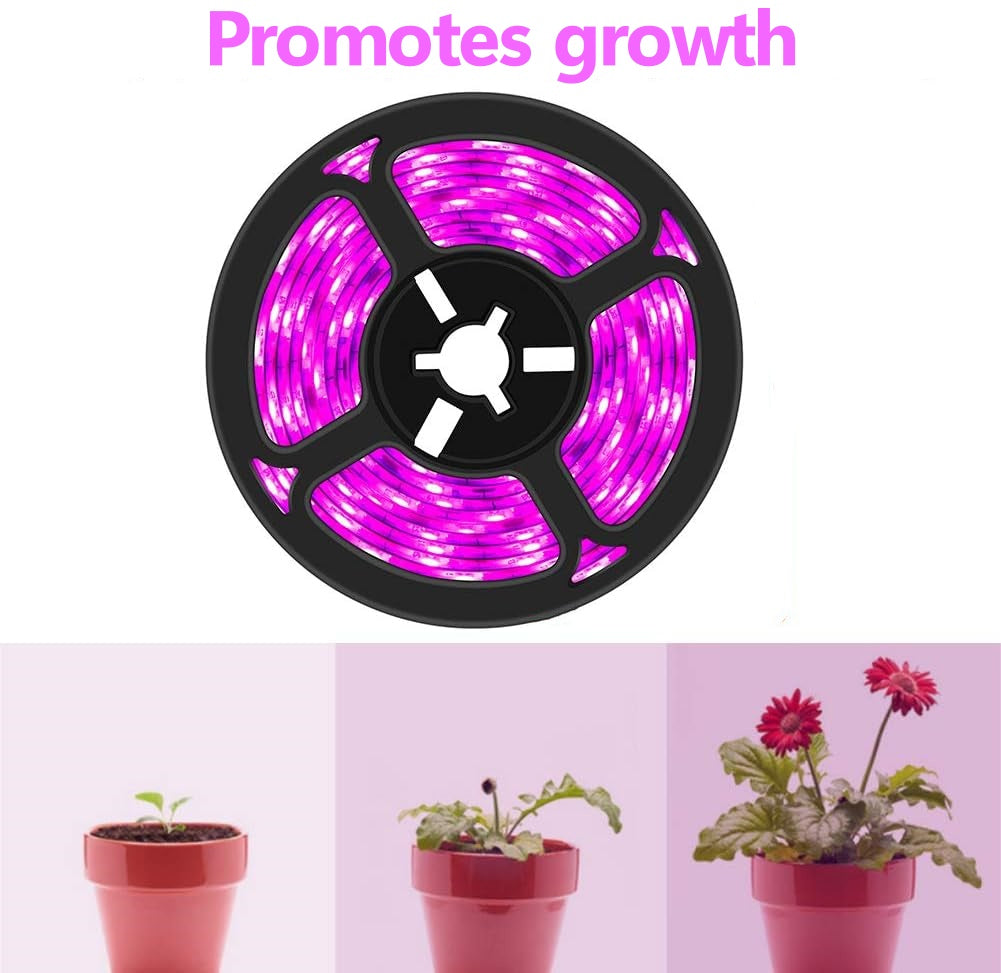 Plant Growth RED:BLUE /660nm:460nm  LED Grow Light  SMD5050 120LEDs 12V 28.8W Per Meter 15mm Width  Strip