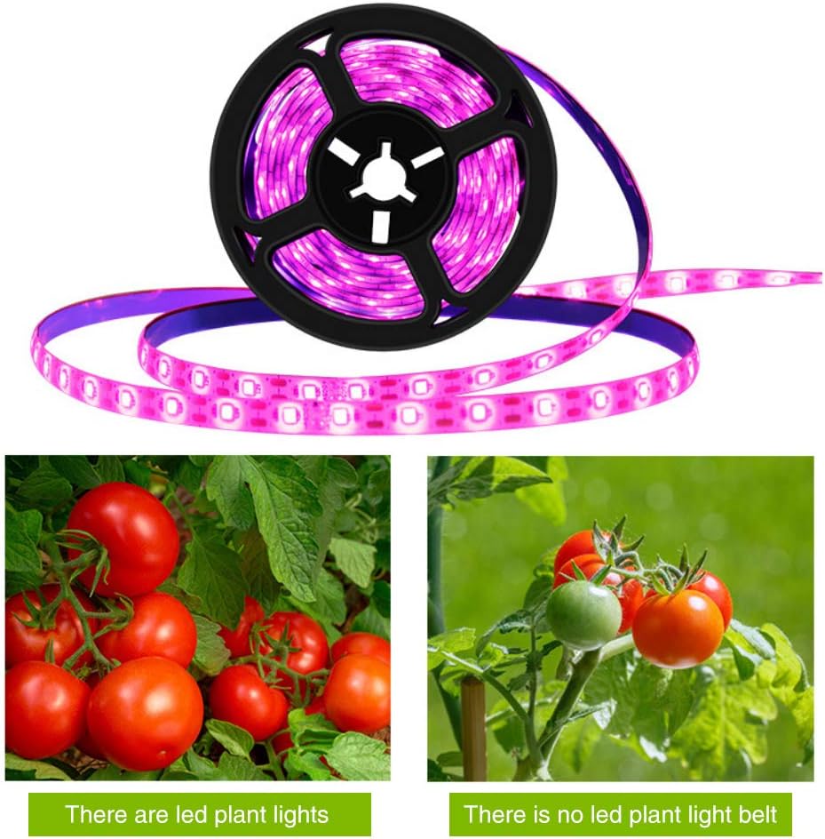 Plant Growth RED:BLUE /660nm:460nm  LED Grow Light  SMD5050 120LEDs 12V 28.8W Per Meter 15mm Width  Strip